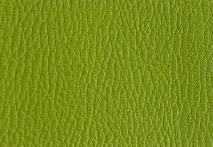 Màu Cốm DHP010 – Giả da Xuân Hòa