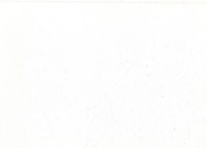 Màu Vàng nghệ M032 – Gỗ Melamine Xuân Hòa
