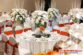  Đại lý cung cấp bàn ghế nhà hàng rẻ nhất Hà Nội